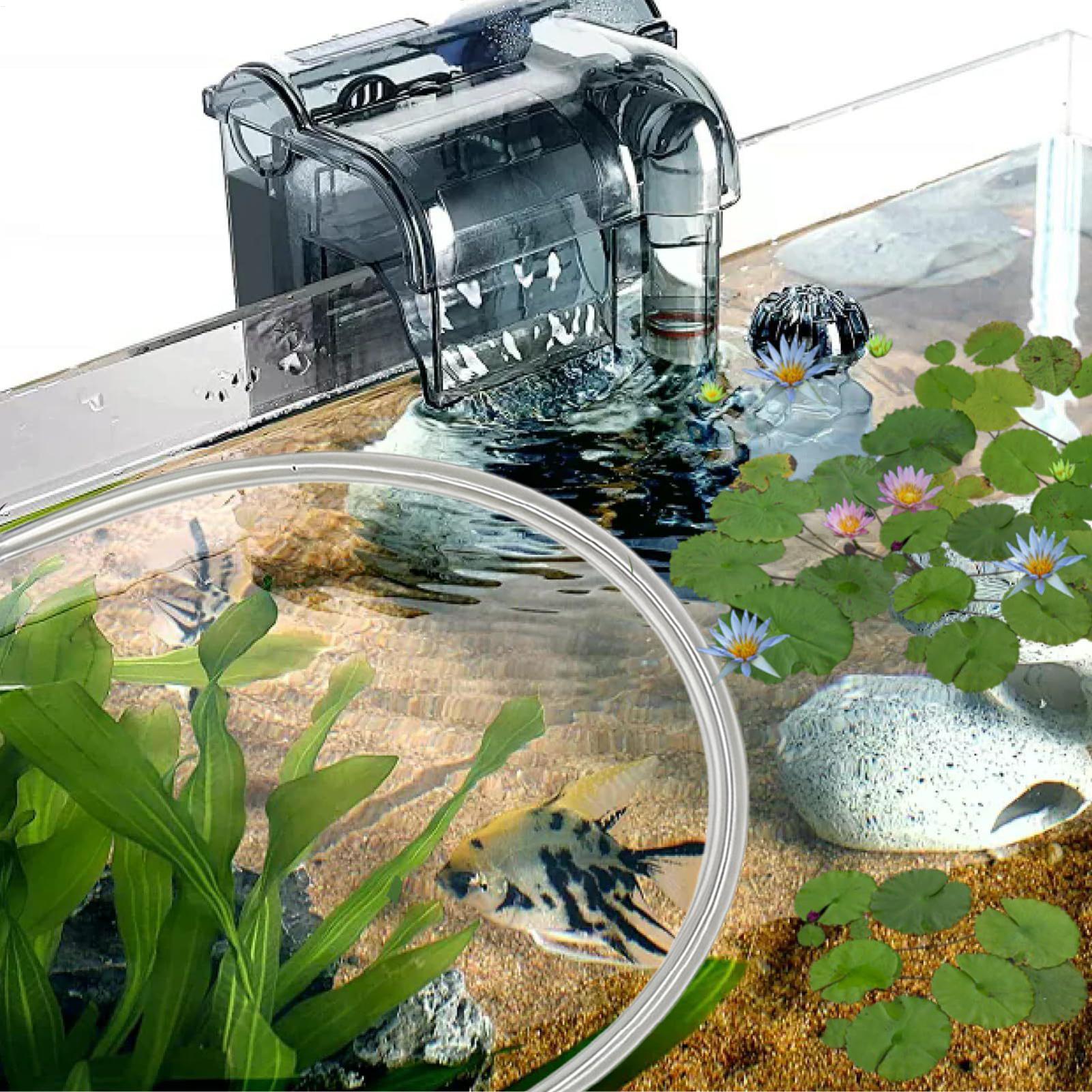 Aquarium Floating Plant Barrie - Planted Aquarium Betta review and price
