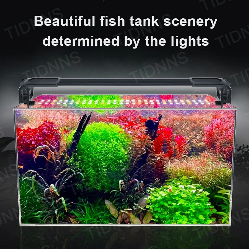 Aquarium Light Led Plant Grow  - Aquarium Plant Diseases review and price