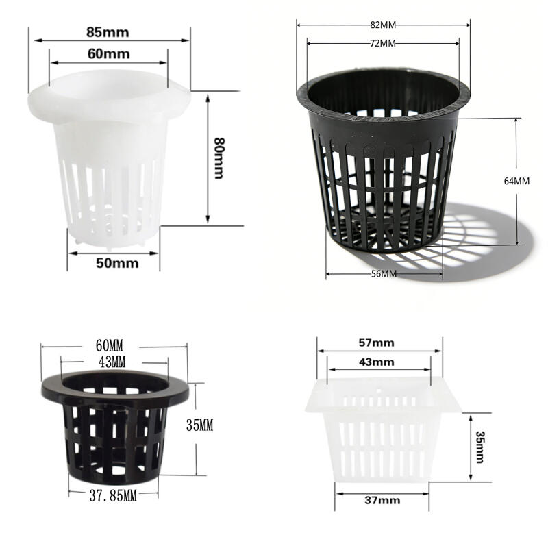 5/10Pcs Hydroponic Colonizatio - Aquarium Plant Diseases review and price