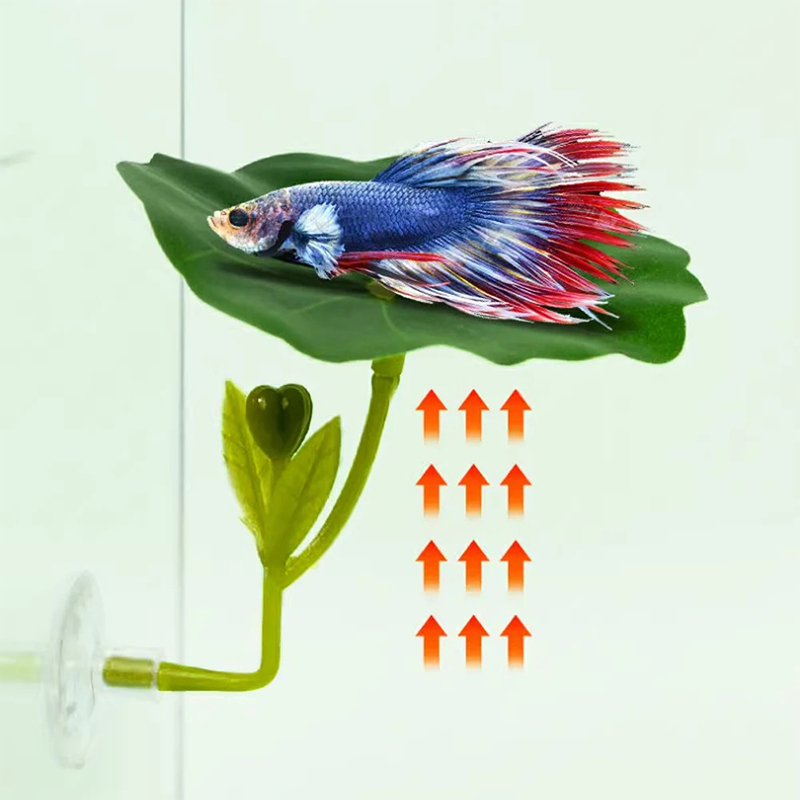 1 Pc For Betta Fish Stress-Red - Planted Aquarium Betta review and price