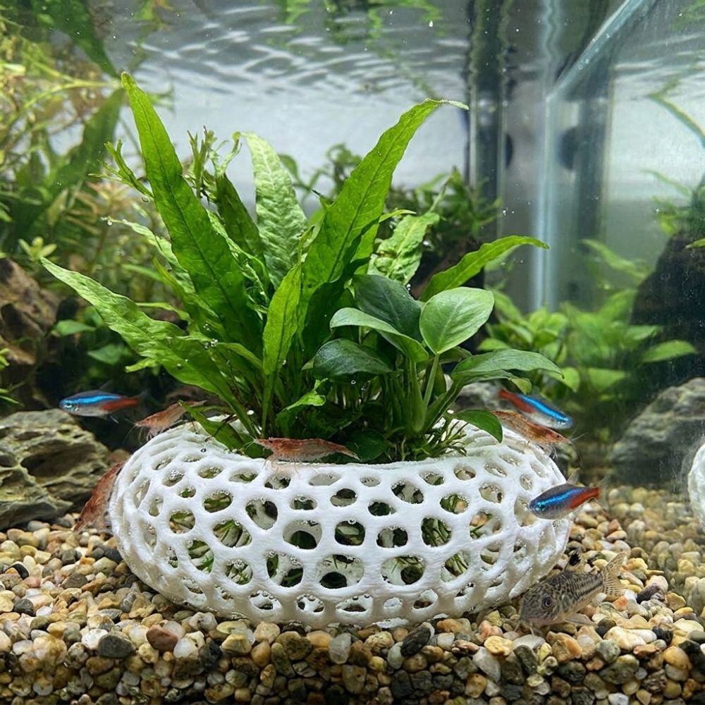 3D Printed Fish Shrimp Hiding  - Planted Aquarium Moss review and price